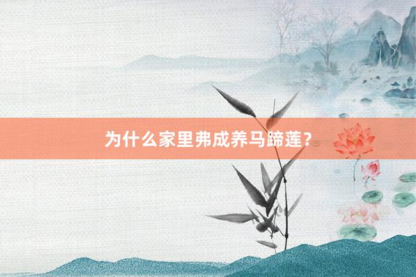 为什么家里弗成养马蹄莲?
